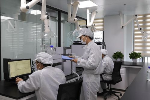 鴻湖膜業自主研發自動化裁切設備，以技術創新驅動調光膜應用拓展