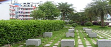 工廠綠化施工與養(yǎng)護服務 打造綠色生態(tài)工業(yè)環(huán)境